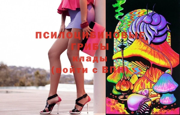 спайс Заречный