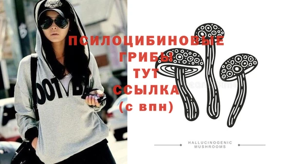 jwh Аркадак